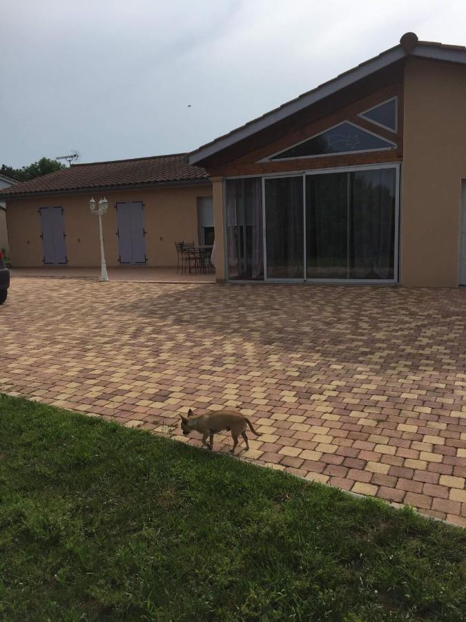 Chambres D'Hotes Chez Coco Saint-Georges-de-Reneins Luaran gambar